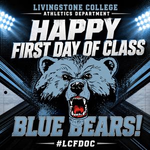 Image post by @bluebearathletics on Instagram