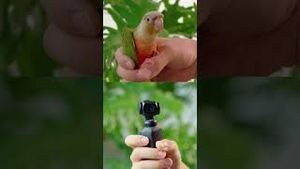Video post by @dji on YouTube