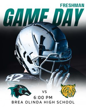 Image post by @aliso_football on Instagram