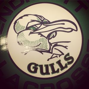 Image post by @endicottmlax on Instagram