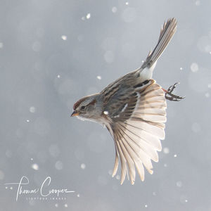 Image post by @lightboximages on Instagram