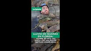 Video post by @laopinionla on YouTube