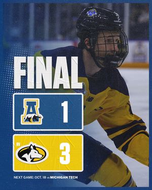 Image post by @nanookshockey on Instagram