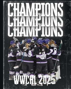 Image post by @lopeswhockey on Instagram