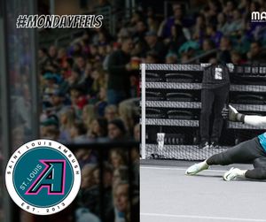 Image post by @stlouisambush on Instagram