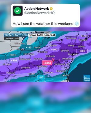 Image post by @actionnetworkhq on Instagram