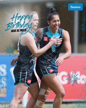 Image post by @pafc_w on Twitter
