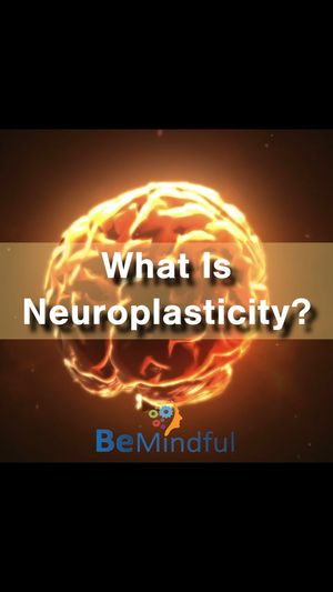 Video post by @Bemindful.us.org on Facebook
