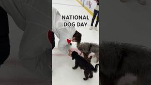 Video post by @blackhawks on YouTube