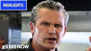 Video post by @msnbc on YouTube