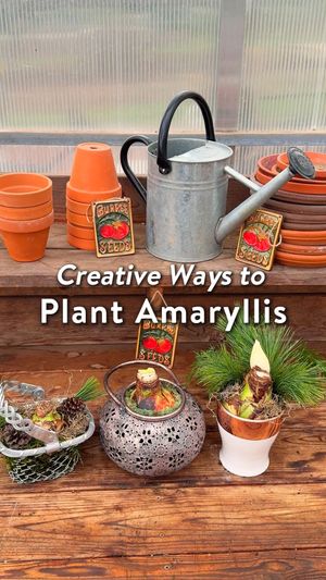 Video post by @BurpeeGardening on Facebook