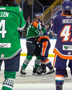 Image post by @fl_everblades on Instagram