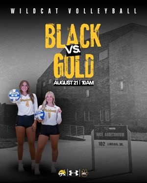Image post by @wscwildcatvb on Instagram