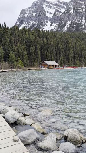 Video post by @CMcalgary on Facebook