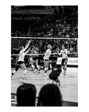 Image post by @photosbykatacosta on Instagram
