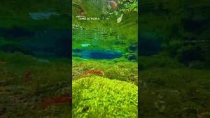 Video post by @dji on YouTube