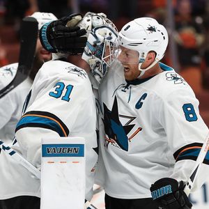 Image post by @sanjosesharks on Instagram