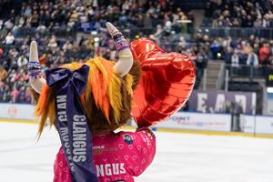 Image post by @framesbyfleming on Instagram