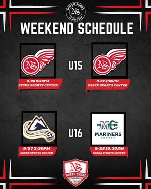 Image post by @nshockeyacademy on Instagram