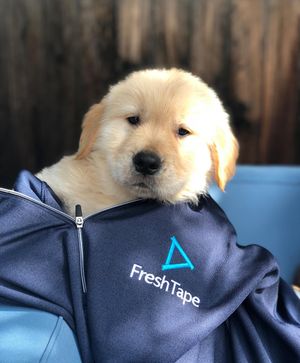 Image post by @freshtapemedia on Instagram