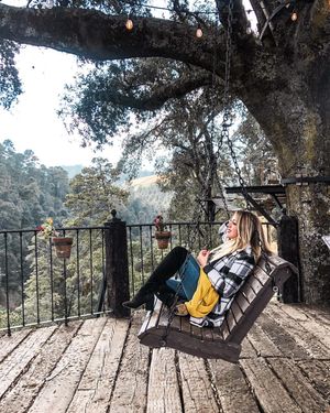 Image post by @aletdelrio on Instagram