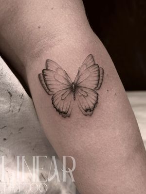 Image post by @christina.lineartattoo on Instagram
