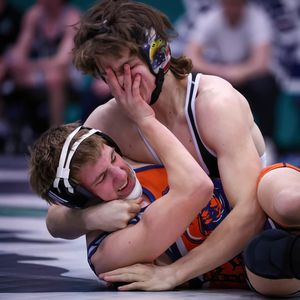 Image post by @plaidsheepcreative on Instagram