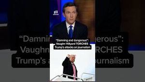 Video post by @msnbc on YouTube
