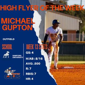 Image post by @newportgulls on Instagram