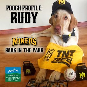 Image post by @sussexcountyminers on Instagram