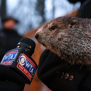 Image post by @wtajnews on Instagram