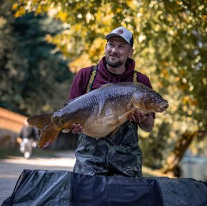 Image post by @brothercarp on Instagram