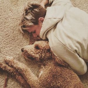 Image post by @sophieschmidt13 on Instagram