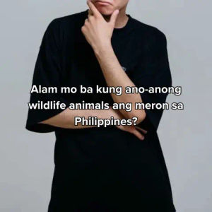 Image post by @abscbnmusic on TikTok