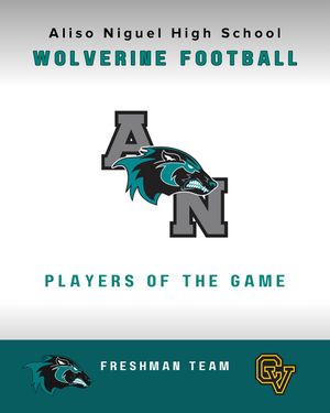 Image post by @aliso_football on Instagram