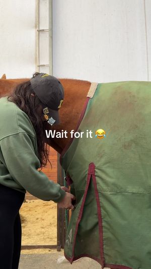 Video post by @kate.cassaidy on TikTok