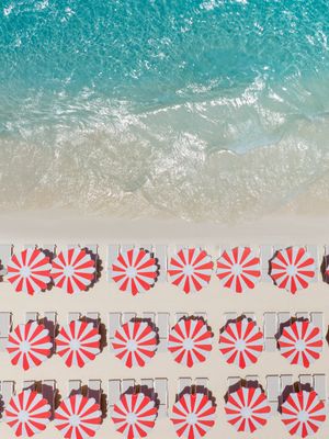 Image post by @carnival on Instagram