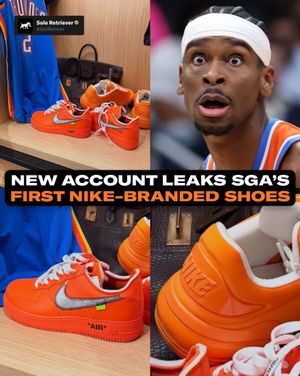 Image post by @soleretriever on Instagram