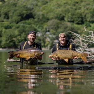 Image post by @brothercarp on Instagram