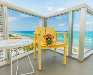 Image post by @theconfidante on Instagram