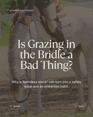 Image post by @theplaidhorsemag on Instagram