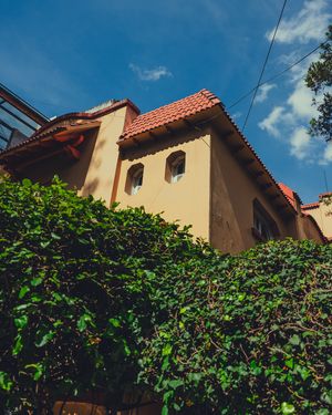 Image post by @johncottermedia on Instagram