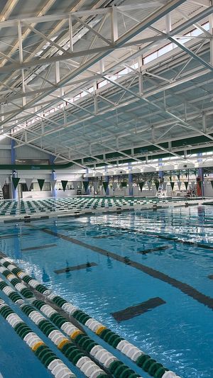 Image post by @GreenWaveSwim on Twitter