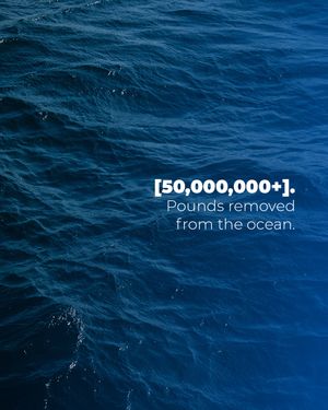 Image post by @4ocean on Instagram