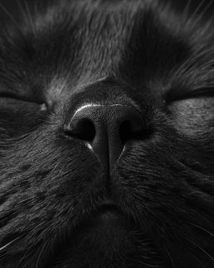 Image post by @fubiz on Instagram
