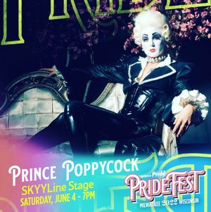Image post by @princepoppycock on Instagram