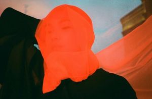 Image post by @van_alpert on Instagram