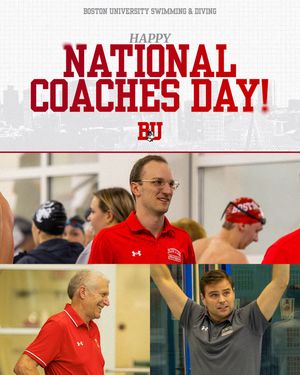Image post by @terrierswimdive on Instagram