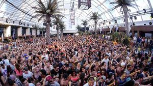 Image post by @marqueelv on Instagram