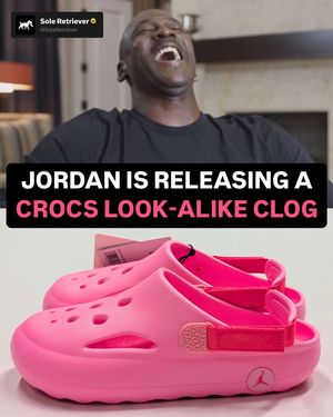 Image post by @soleretriever on Instagram